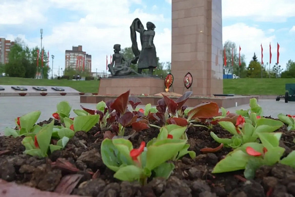 В Иванове распускаются тюльпаны