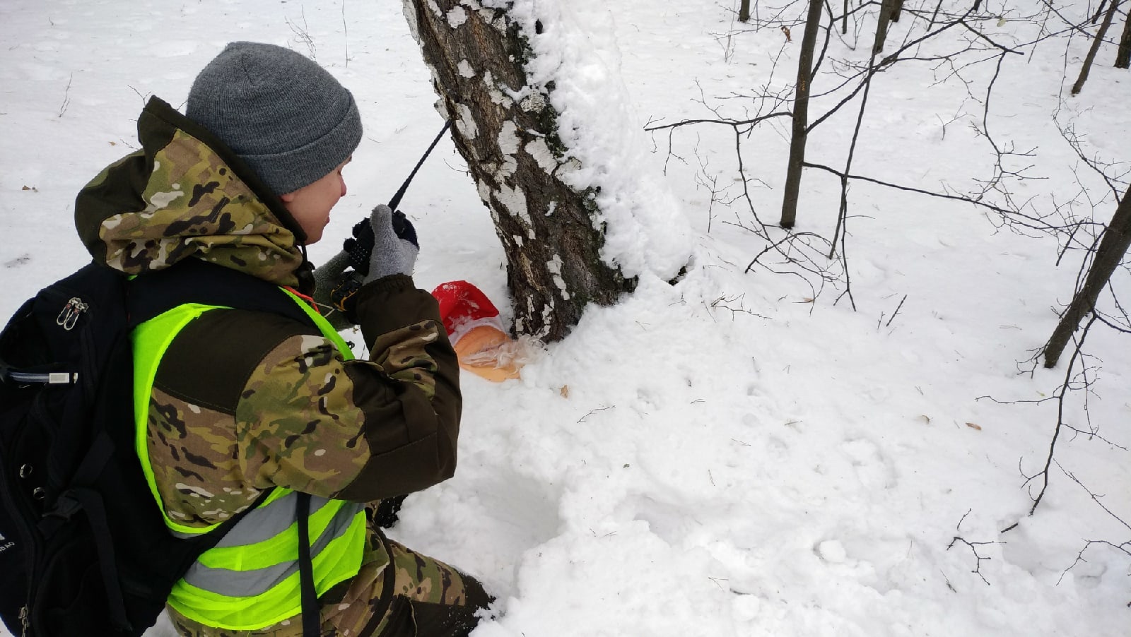 Омск поиски