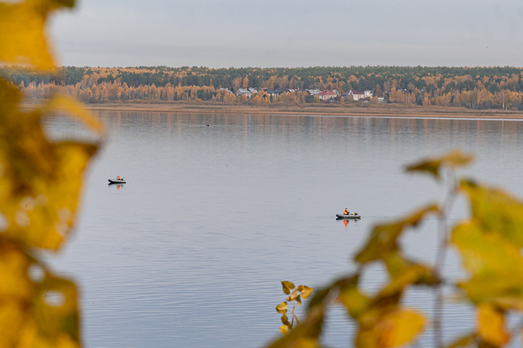 Опушка рядом с Тарловкой представляет собой поселок с обзорным видом на Каму