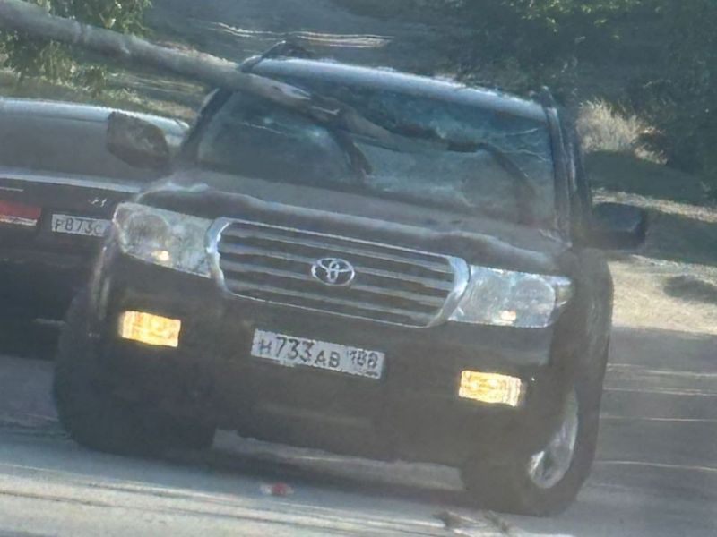 Из-за сильного ветра огромная ветка пробила лобовое стекло иномарки в городе Шахты