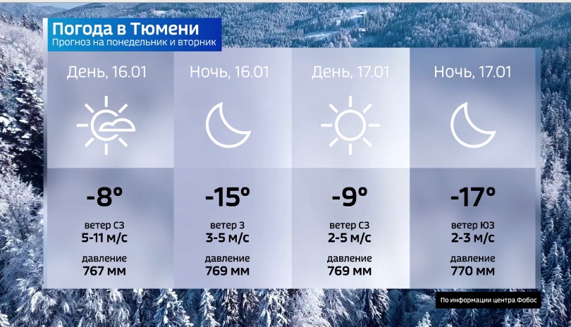 Какая погода январь 2023