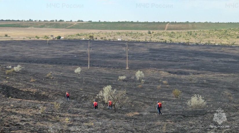 В Симферопольском районе потушили пожар на 40 гектарах