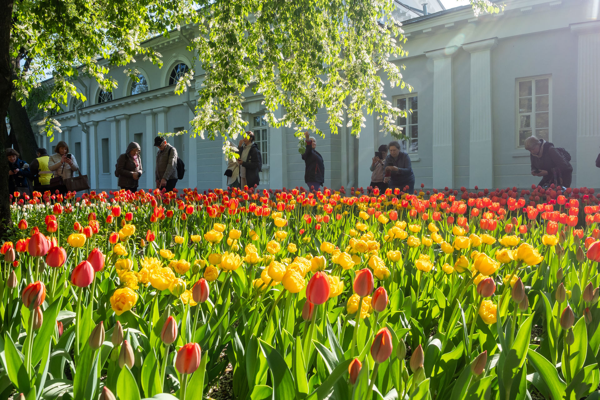 цпкио в санкт петербурге