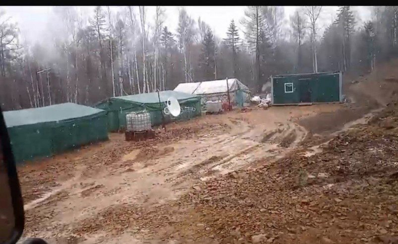 Тематическое фото природоохранная прокуратура