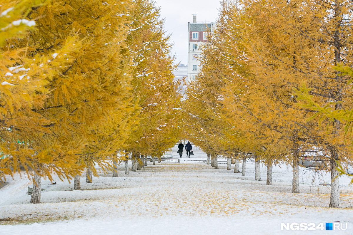 Какая погода будет в январе. Какая есть погода. Погодапогода на 2021 год на январь. Какая погода будет в январе. Погода на ноябрь.