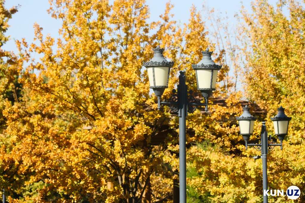 Приводят в порядок уличные фонари перед осенью и зимой.