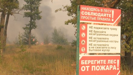 Высокий класс пожарной опасности сохранился в 11 районах Воронежской области