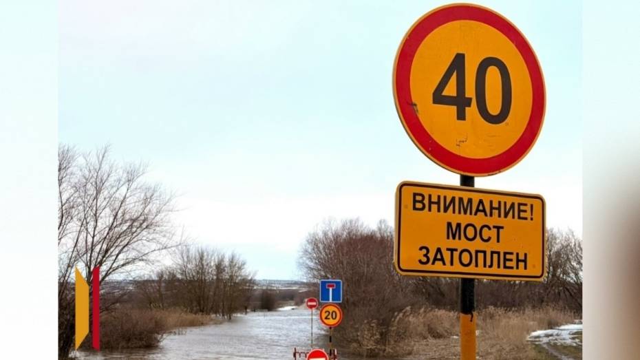 В Воронежской области затопило мост между хуторами Суд-Николаевка и Покровка