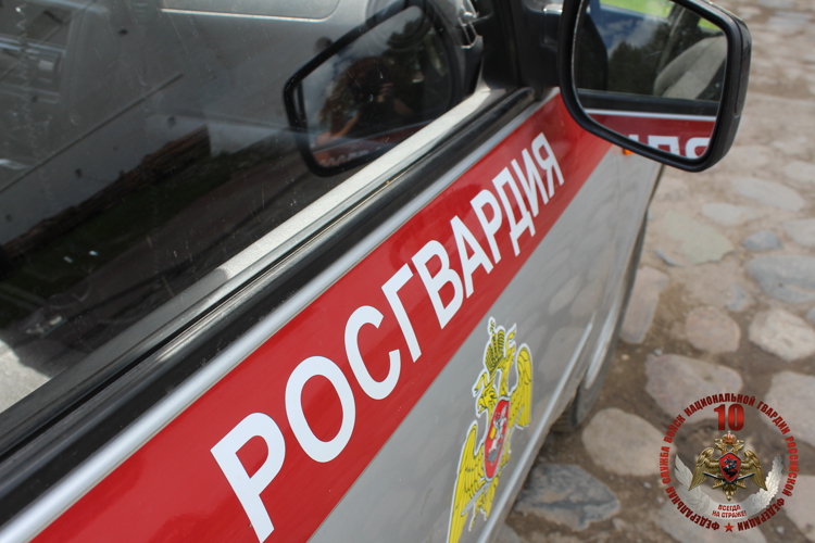 Сотрудники Росгвардии задержали череповчанина, отказывавшегося оплачивать счет в баре и устроившего дебош