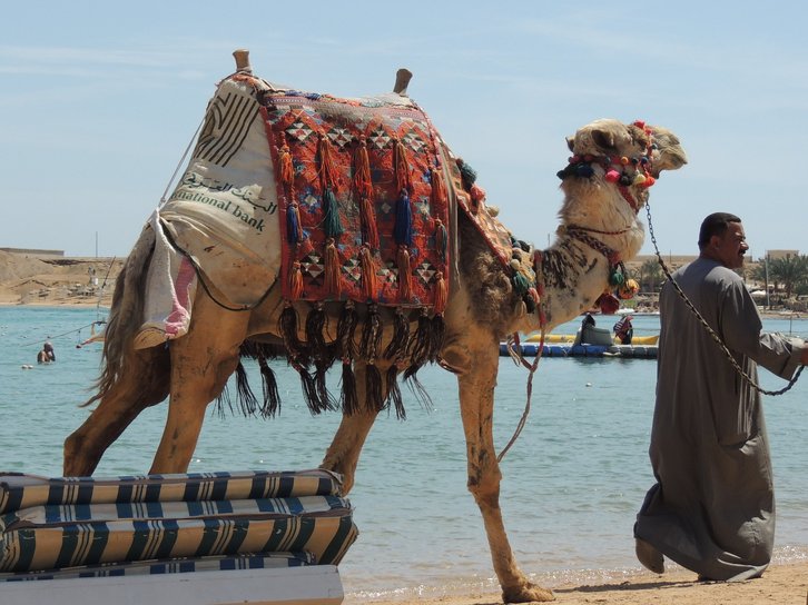 Фото: Семенова Надежда Владимировна / фотохостинг Russian Traveler