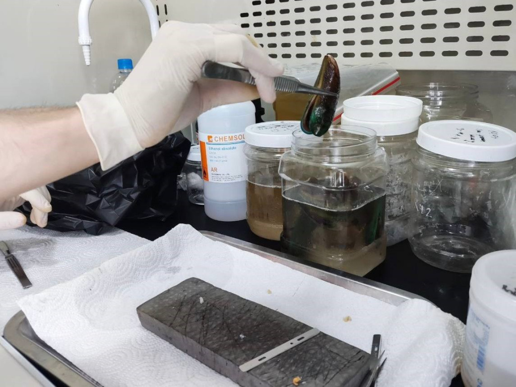 Вьетнам 7.jpg