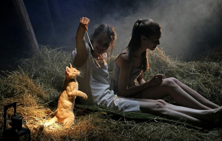 «Евгений Телегин», «Белый пароход». Новинки кино: с 19 июня | Сто-кадр из фильма «Евгений Телегин»