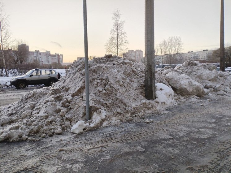 Суд оштрафовал главу комитета по благоустройству Петербурга за неубранный снег