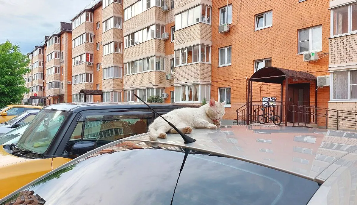 Погода в Краснодарском крае 11 августа: ситуация по городам