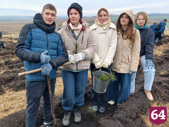 Осенью в Саратовской области высадят 3 миллиона сеянцев 