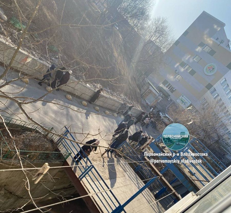 Фото: скриншот @pervomayskiy_vladivostok | Две поликлиники Владивостока снова получили сообщения о минировании
