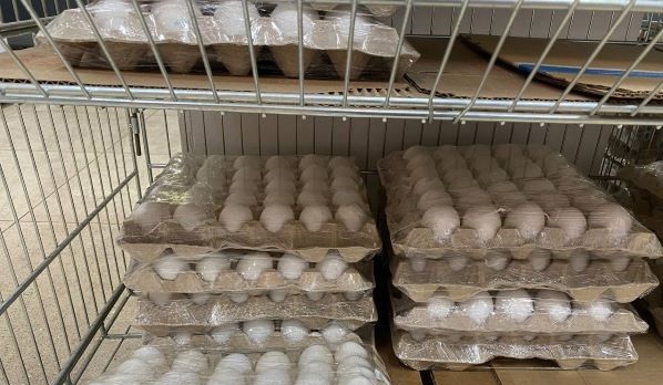 В МАПП «Кяхта» проверили 460 тонн продукции и 17 животных-компаньонов 