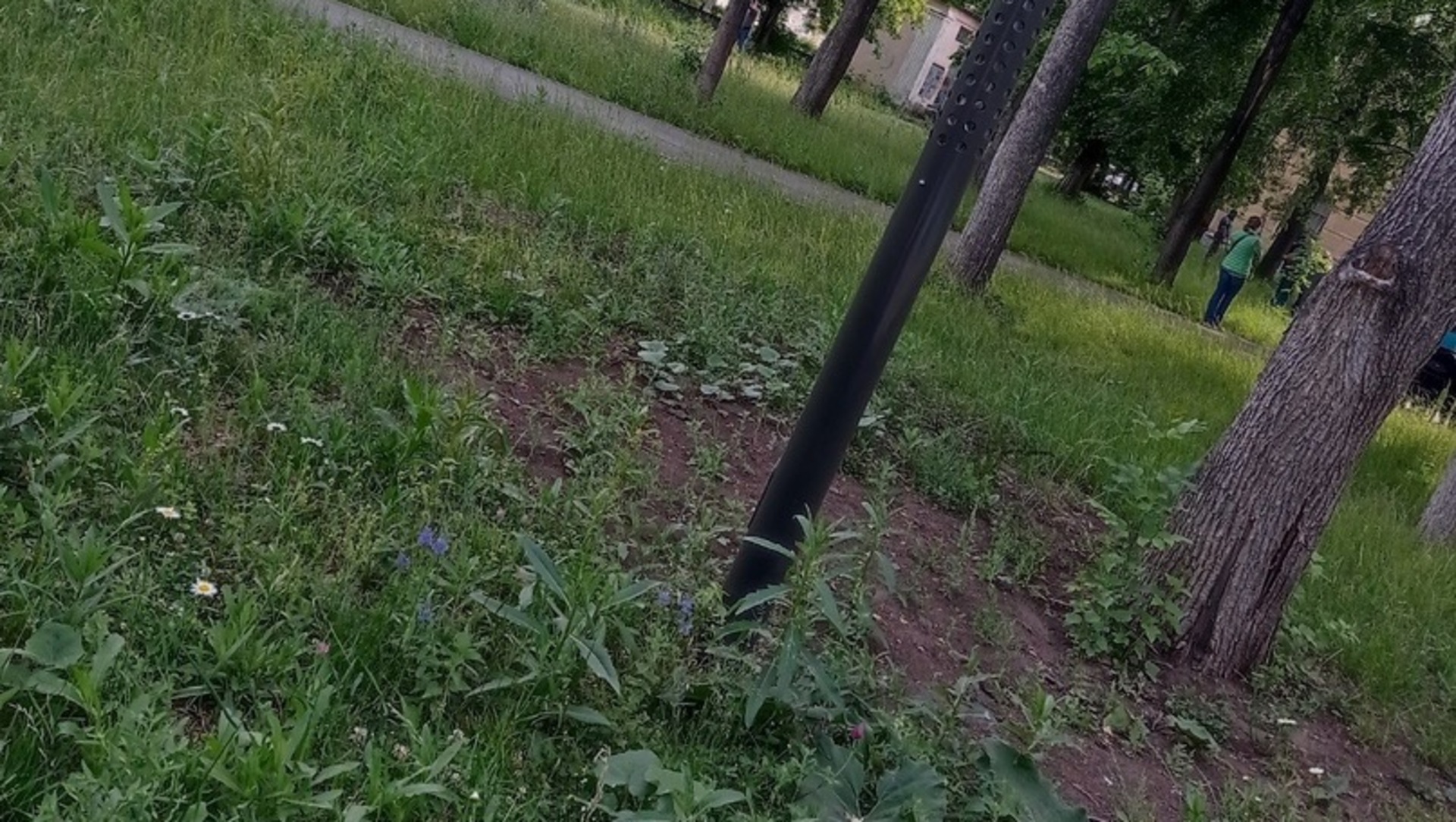 Они делают это в парках
