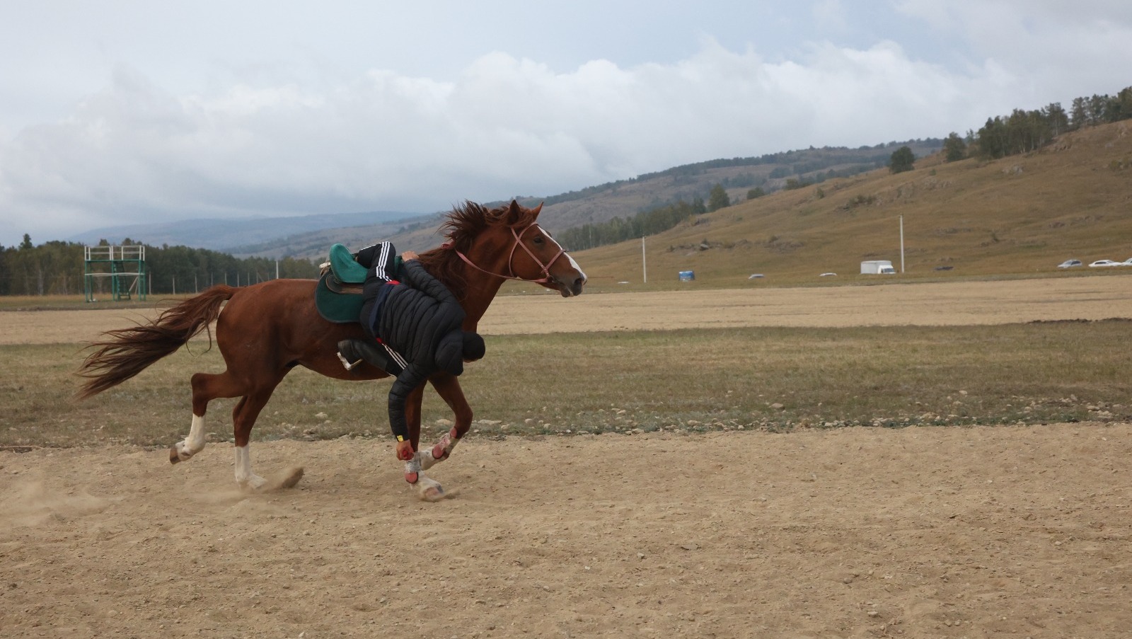 оргкомитет фестиваля