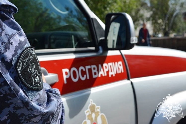 В Курской области росгвардейцы за прошедшую неделю совершили более 260 выездов по сигналу «тревога» 