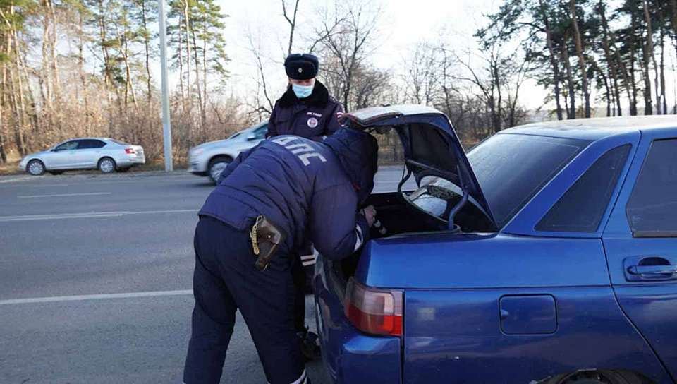 В Воронежской области задержали ростовчанина с крупной партией наркотиков