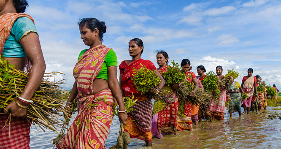 Women are seen queueing up to plant mangrove saplings along the riverbanks of the Matla river in Sundarbans, India.