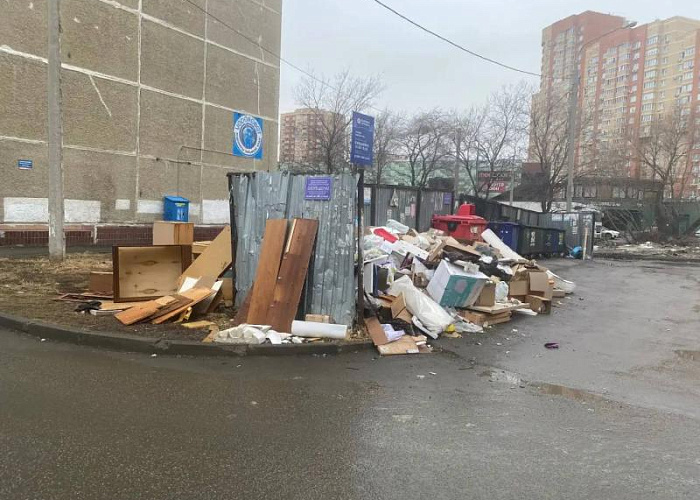 Роспотребнадзор оштрафовал УК на 250 тысяч рублей за мусорку в Челябинске
