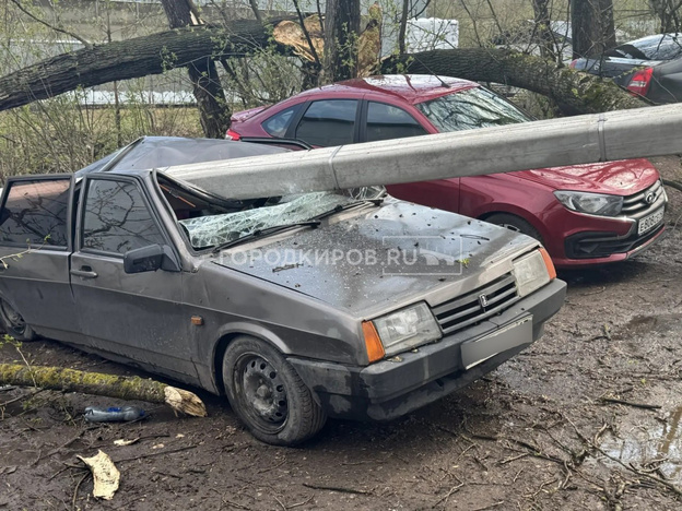 В Кирове из-за грозы падают деревья, окна и заборы. Фото