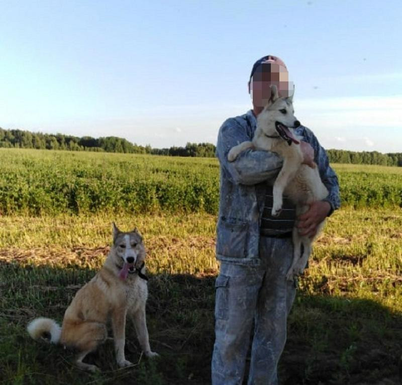 В Слободском районе лайка укусила 3-летнего малыша за лицо