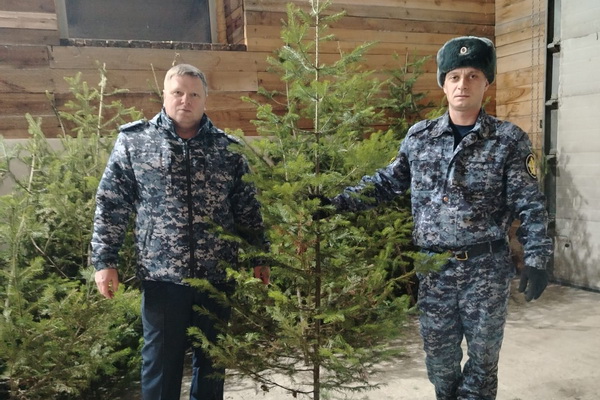 25.12.24 ок2.jpg