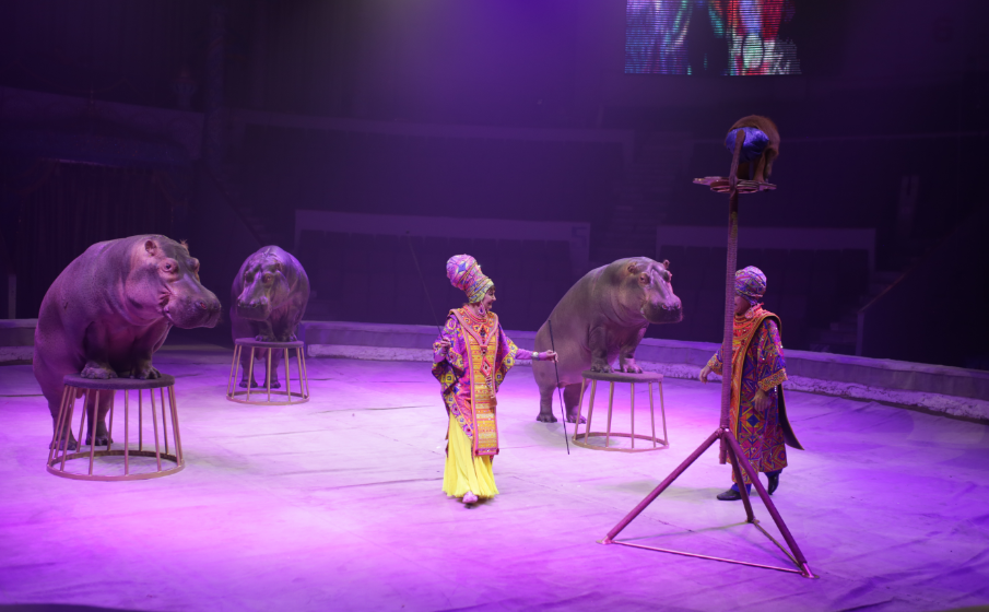 клоун цирка гии эрадзе. гия эрадзе 2023. цирк гии эрадзе 2022. цирк кисловодск королевский цирк гии эрадзе. цирк гии эрадзе в самаре 2024.