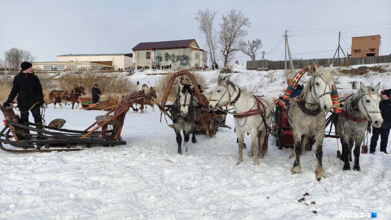 Можно было покататься в упряжке