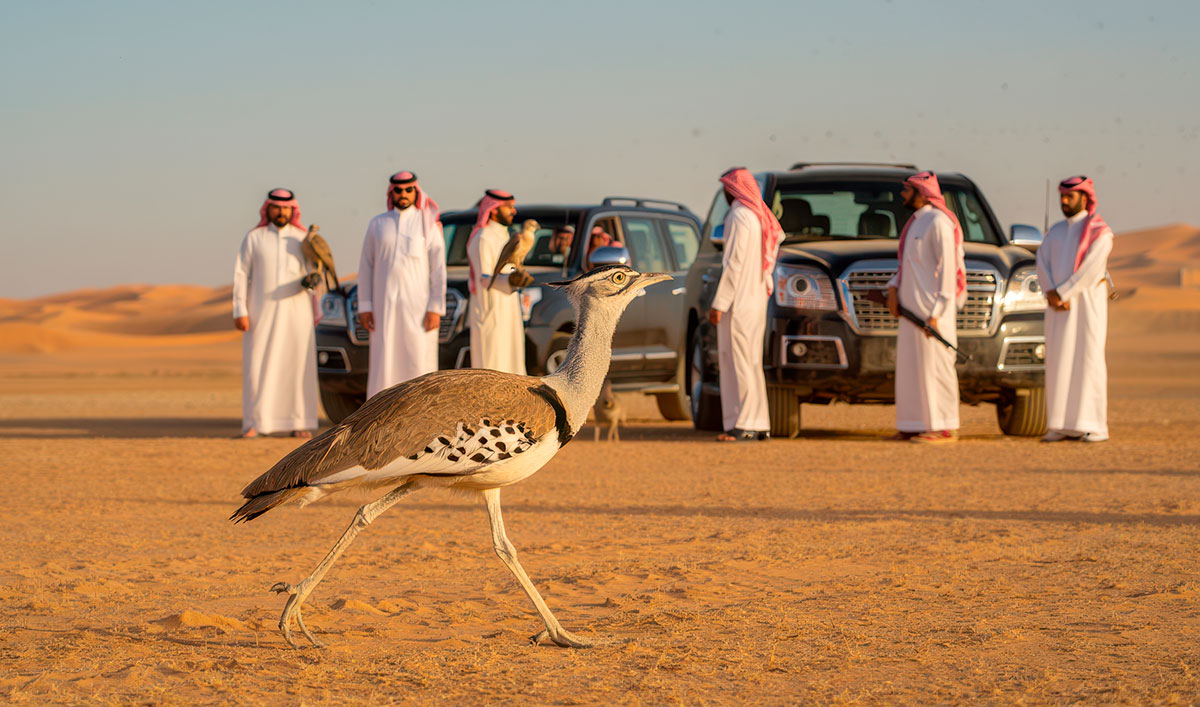 Охота на дроф в Пакистане