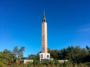 © СИФИБР СО РАН г. Иркутск