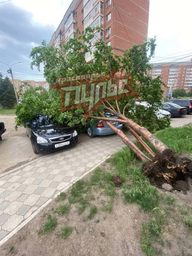 Штормовой ветер оставил 12 тысяч жителей Красноярского края без электроэнергии