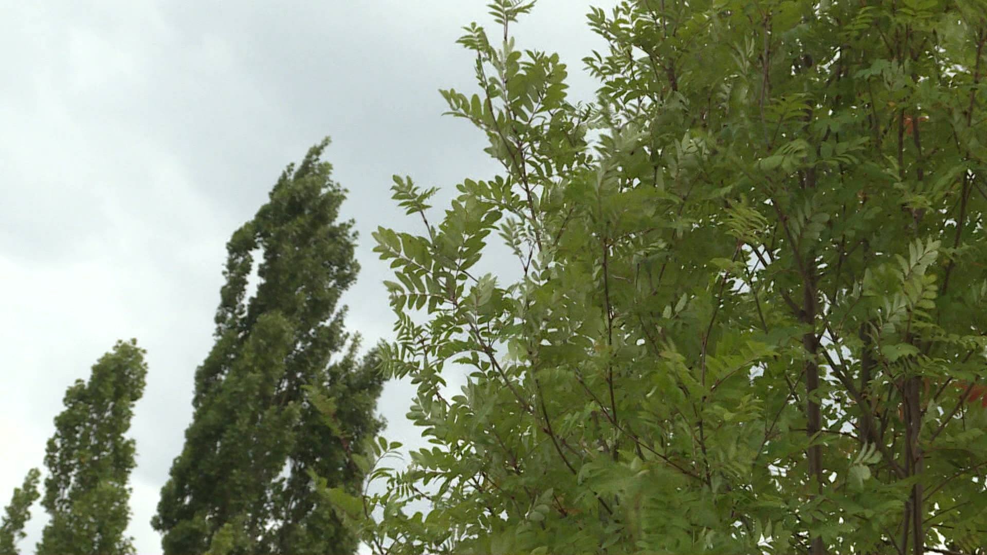 Местами грозы, град, сильный ветер: жителей Башкирии предупредили о неблагоприятных погодных явлениях
