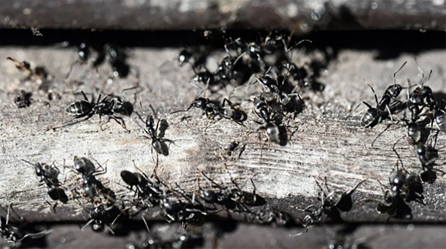 Фото Global Look Press