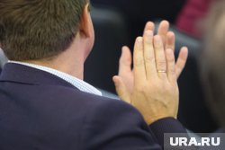 Курганские политики готовятся к работе в думах