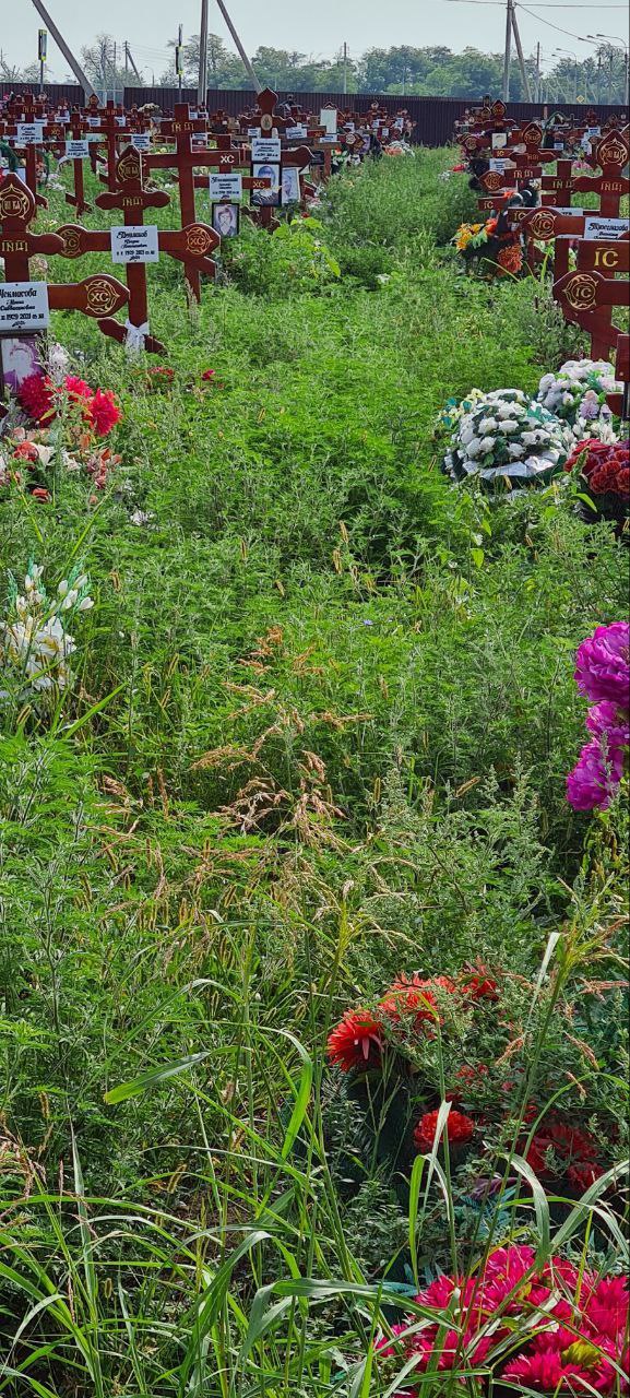 план городского кладбища краснодара. проект нового кладбища в краснодаре. кладбище копанской краснодар. новое копанское кладбище краснодар. кладбище фото.