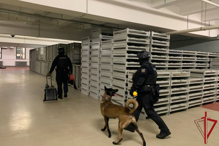 Cотрудники Росгвардии провели занятия по нейтрализации вооруженных преступников и освобождению заложников