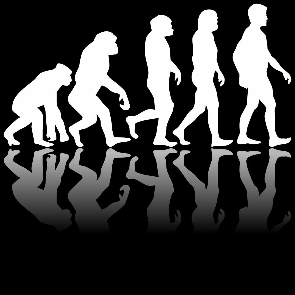 Human picture. Эволюция человека. Развитие человека. Эвалюд. Эмолю.