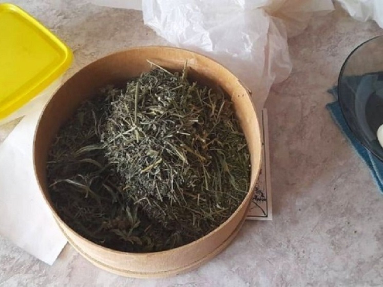  В Собинском районе мужчина устроил дома плантацию конопли