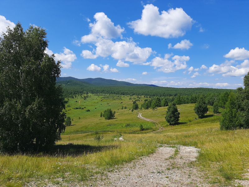 Красноярского края на неделю. Хакасия. Хакасские Петроглиф лето. Красноярский.