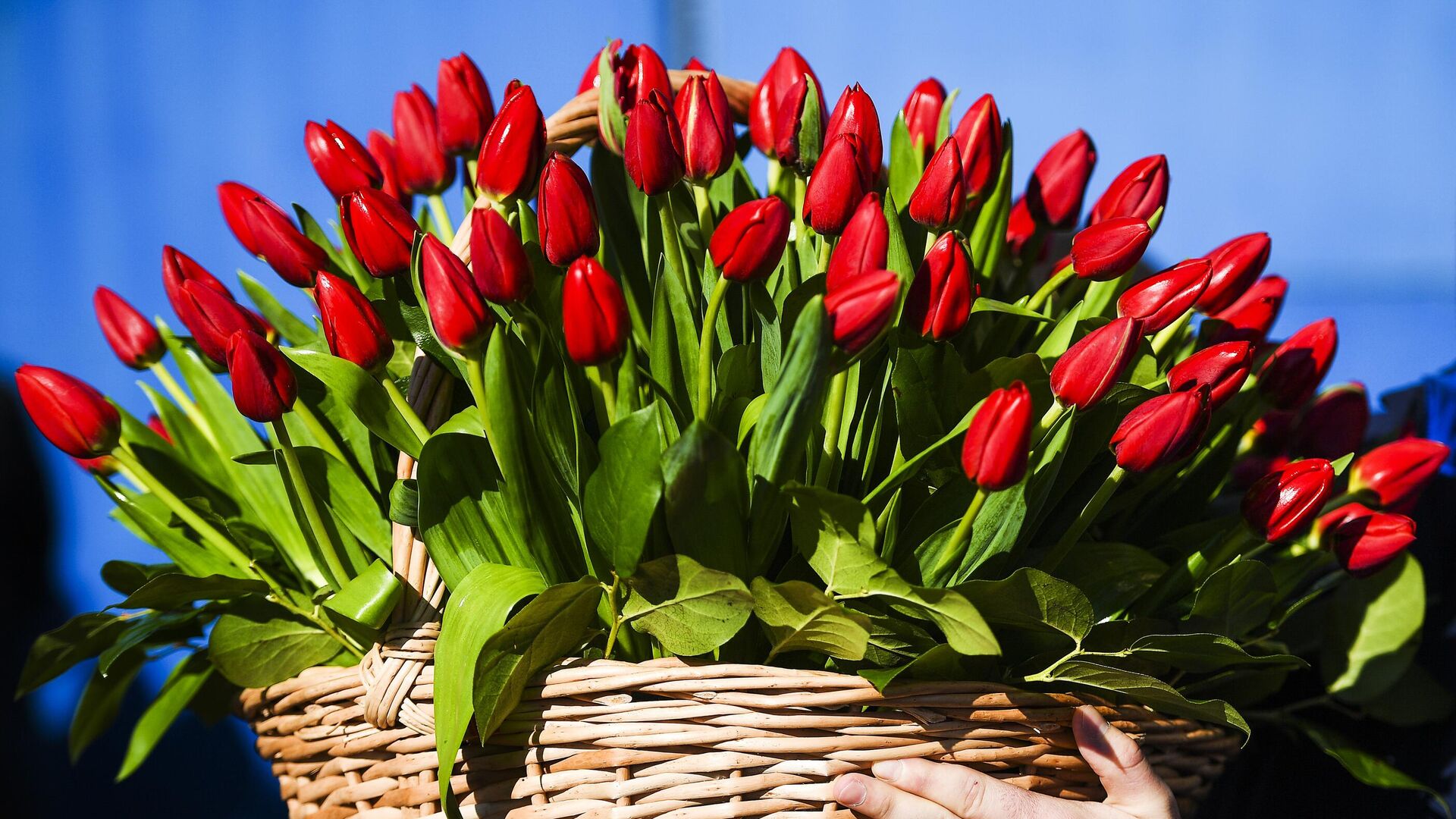 Продажа цветов в Международный женский день - Sputnik Абхазия, 1920, 07.01.2026