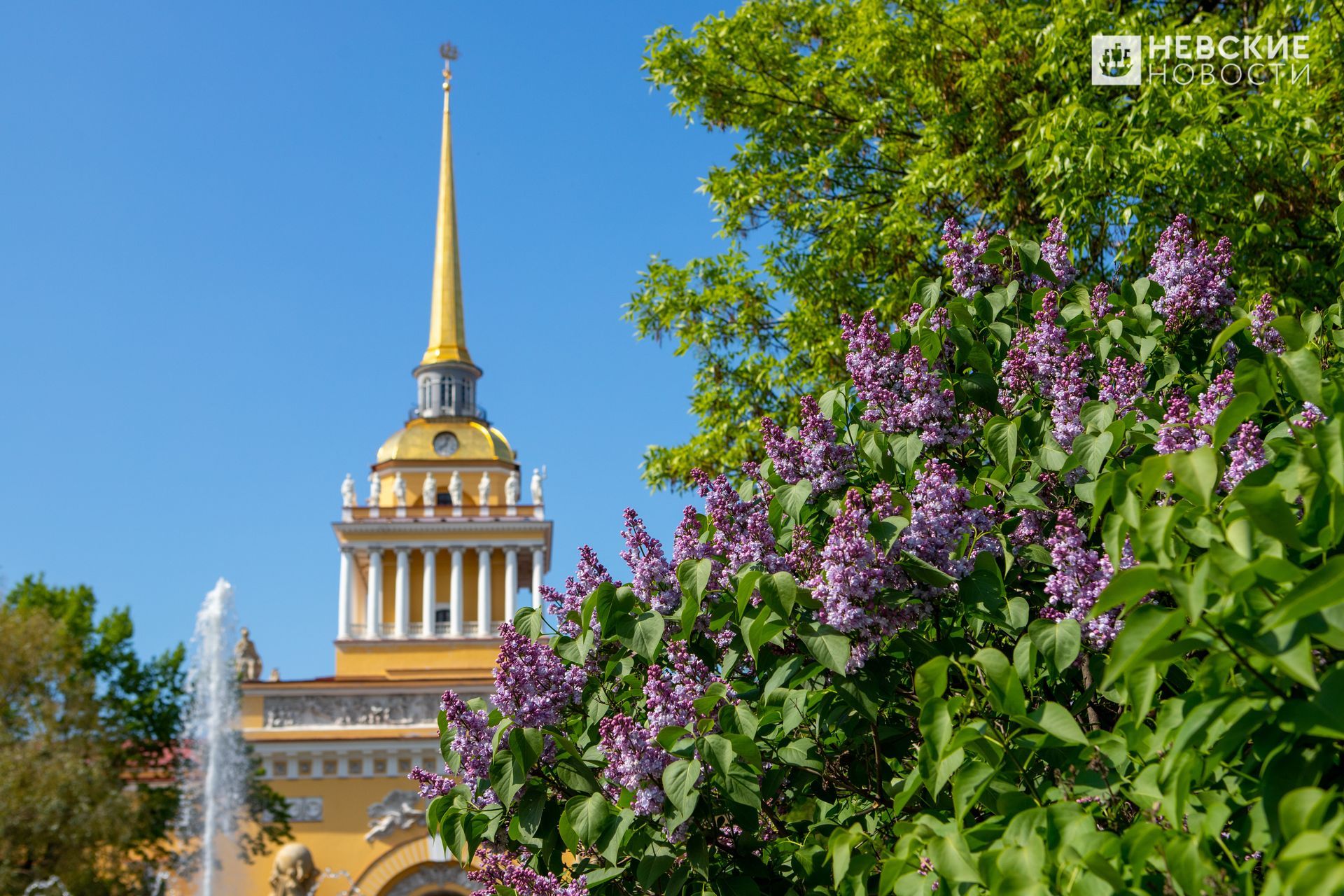 Марсово поле в Санкт-Петербурге. Фото Петербург май солнце.