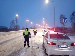 Фото: Госавтоинспекция Свердловской области