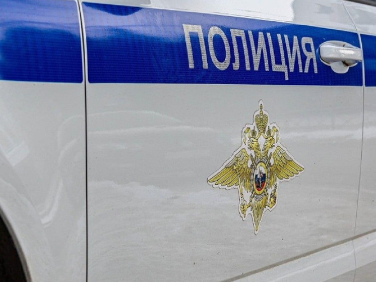 В Новосибирске мужчина в алкогольном опьянении избил до смерти 72-летнюю сожительницу