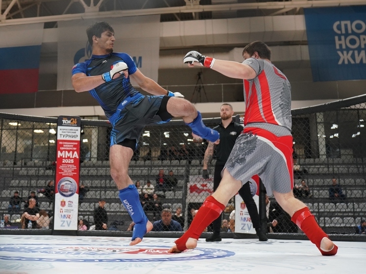 В Новомосковске пройдет юбилейный турнир по ММА памяти Алексея Калинина