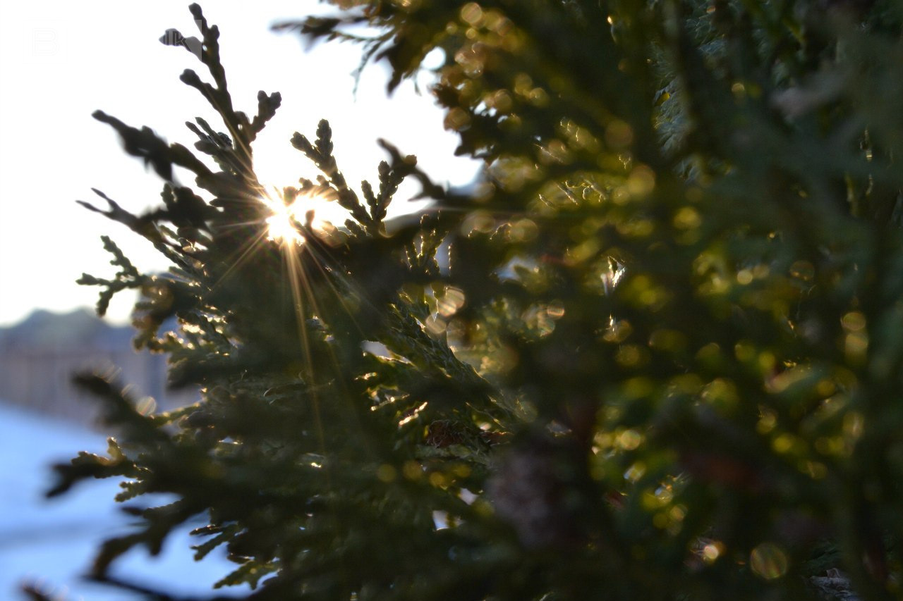 Солнечная и морозная погода в Липецкой области ожидается в субботу