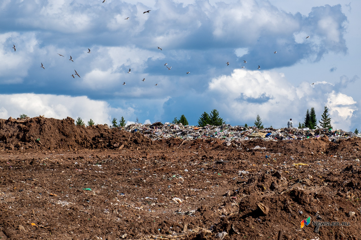 В Немском районе ликвидировали крупную несанкционированную свалку
